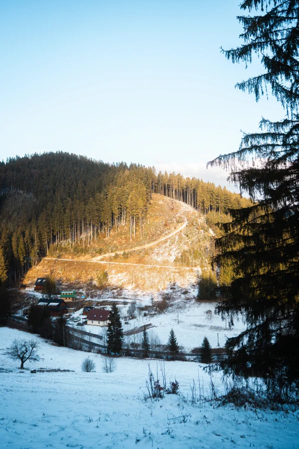 Zasněžené údolí se smrkovým lesem a několika domy v podvečerním světle